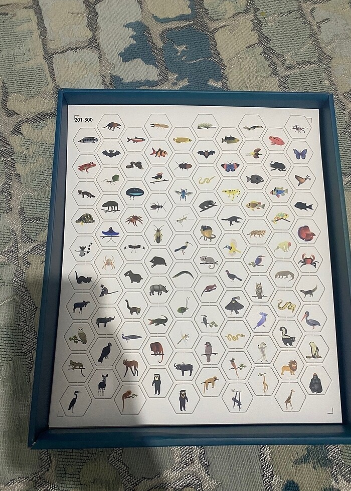 Orman dedektifi - Görsel 2