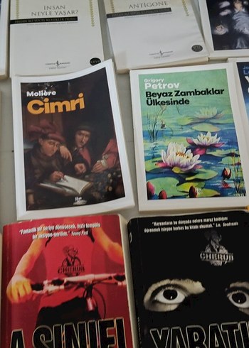 Beden Renk Karantina ve İlahi Çılgınlık Roman Seti