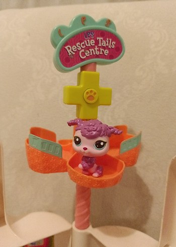 sevimli Miniş ve evi - Görsel 2