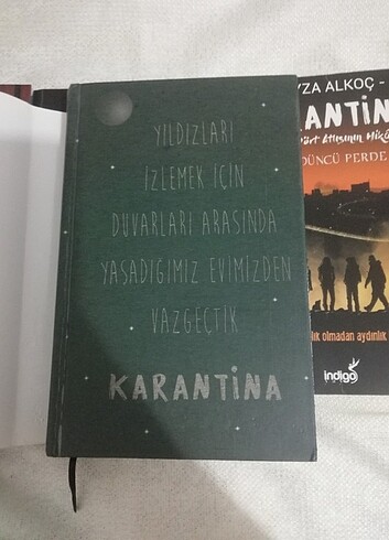 Karantina serisi 