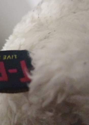 t box love panduf - Görsel 3