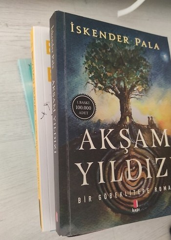 Akşam Yıldızı - İskender Pala - Görsel 2