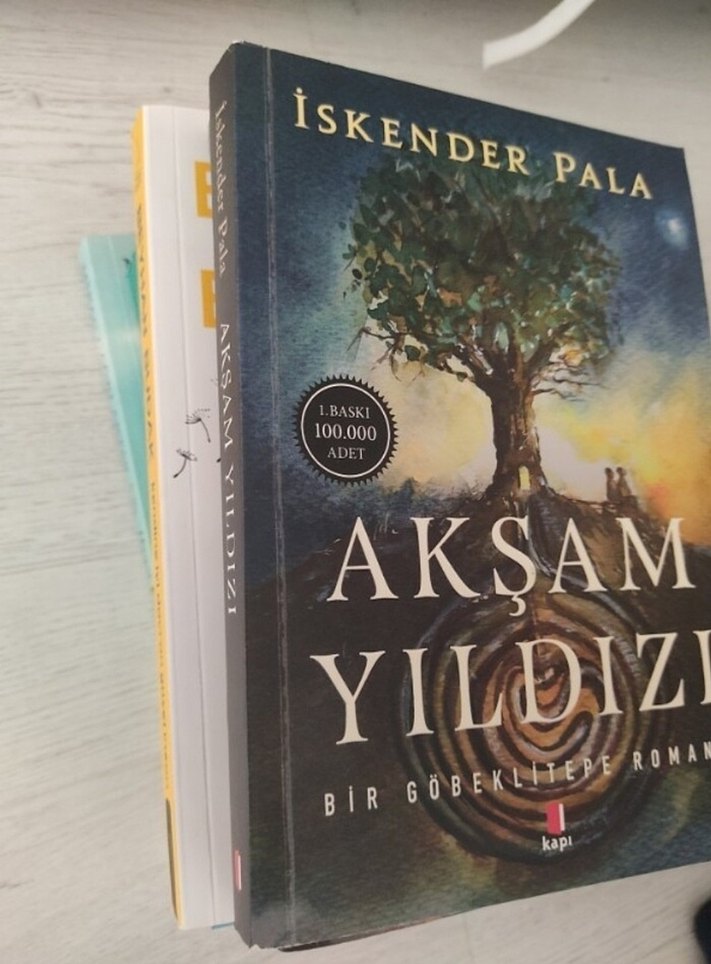 Akşam Yıldızı - İskender Pala - Görsel 2