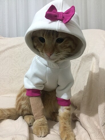  Özel tasarım kedi sweatshirt hoodie köpek kıyafeti