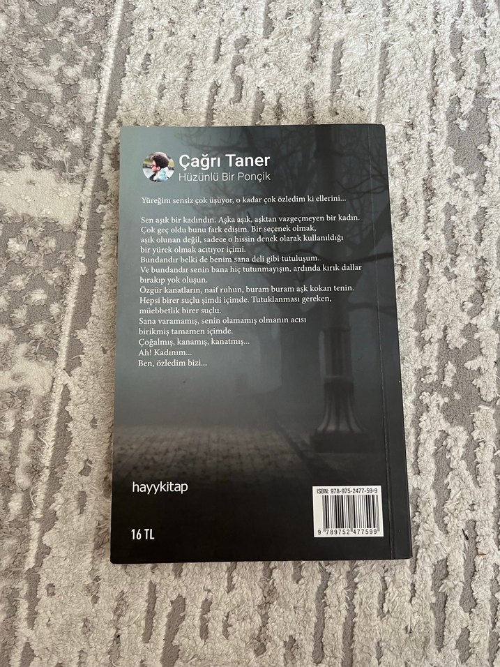 Hüzünlü Bir Ponçik - Çağrı Taner - Görsel 2