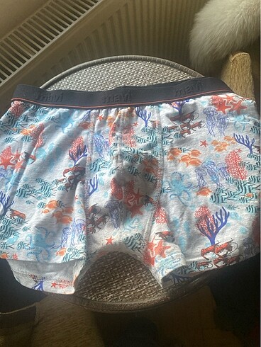Boxer