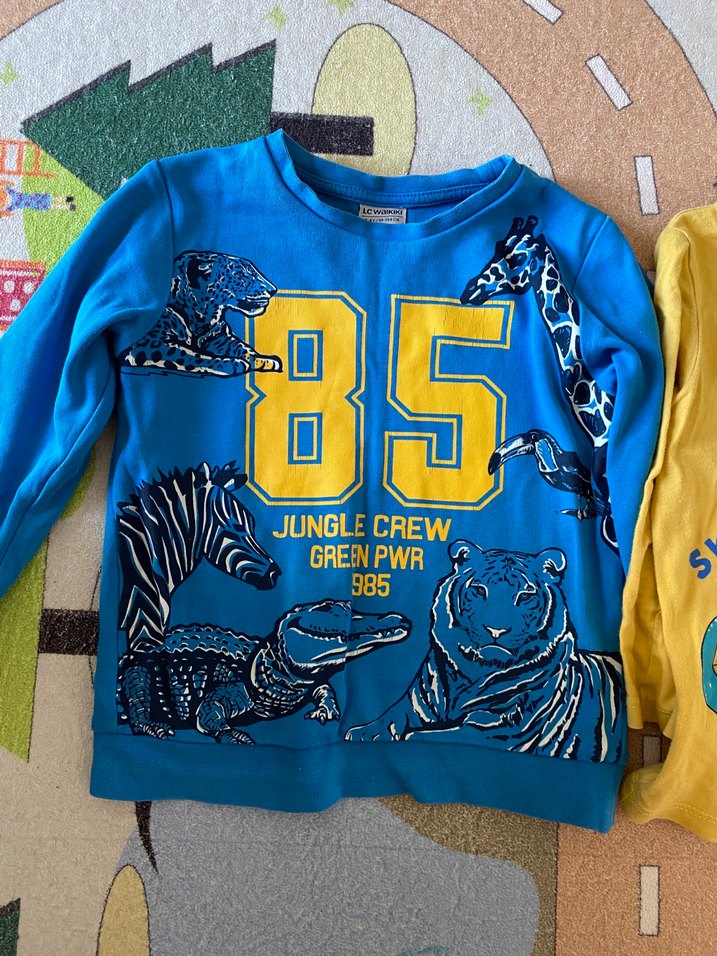 LC Waikiki 3-4 yaş - Görsel 3