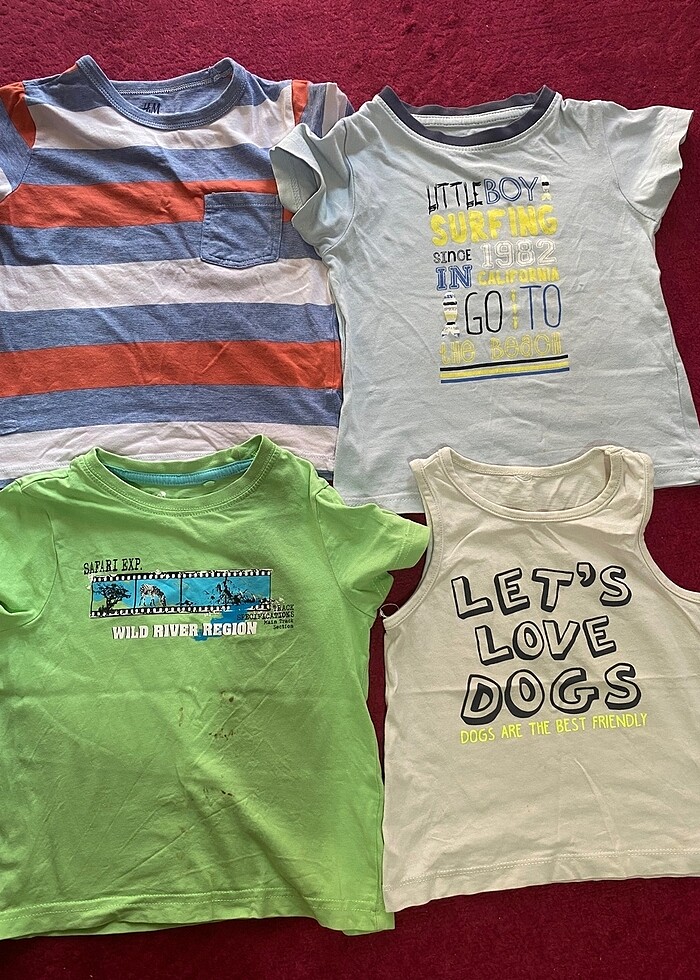 Erkek tşört - Görsel 2