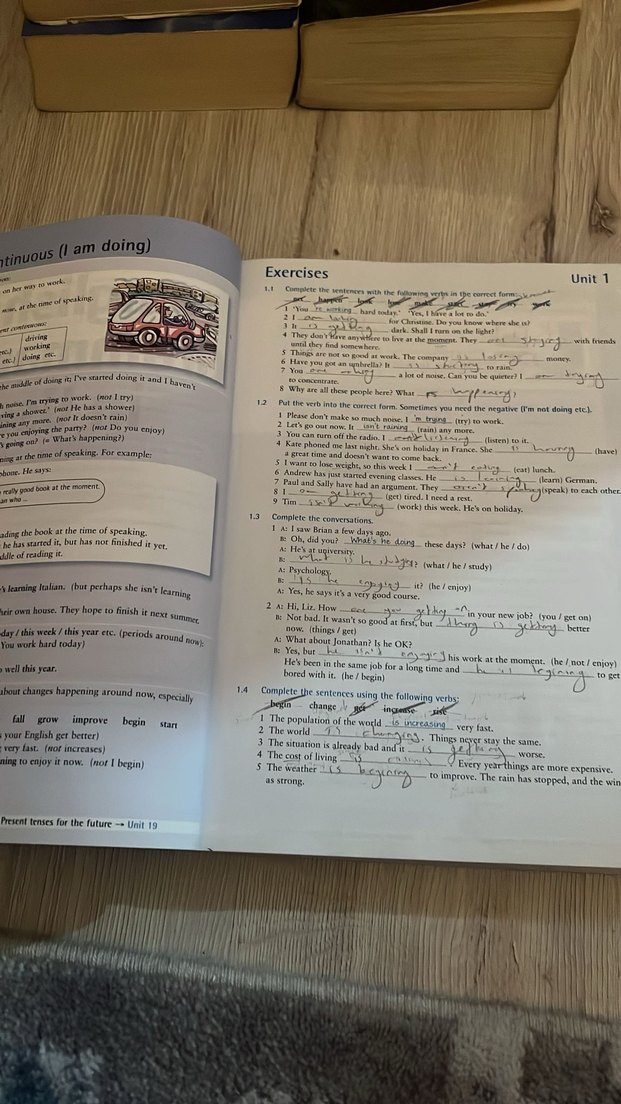 English grammar in use cambridge - Görsel 2