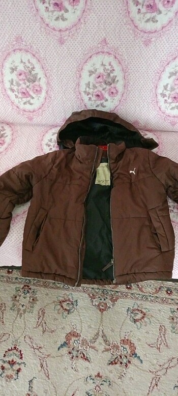 Puma mont