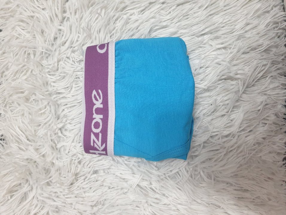 Darkzone Mavi Desenli Erkek Boxer - Görsel 2