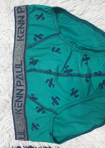 Turkuaz Baskılı Erkek Boxer - Görsel 2