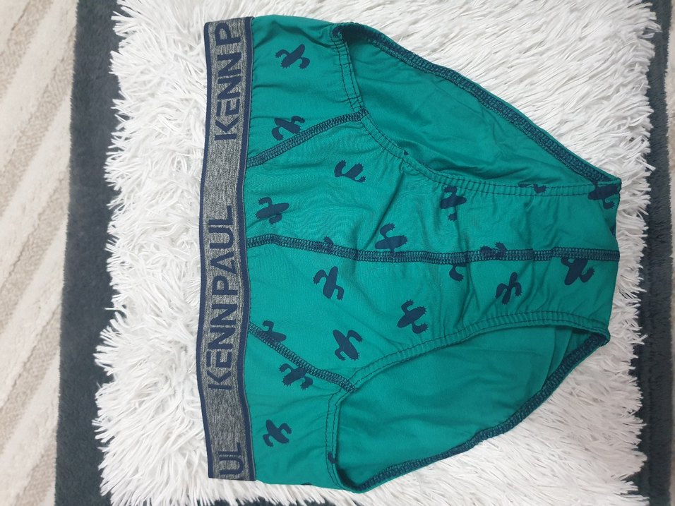 Turkuaz Baskılı Erkek Boxer - Görsel 2