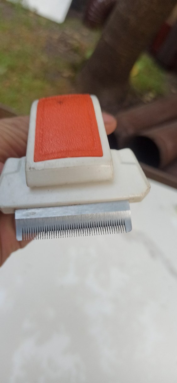 PET Relax Köpek Tarağı - Görsel 3