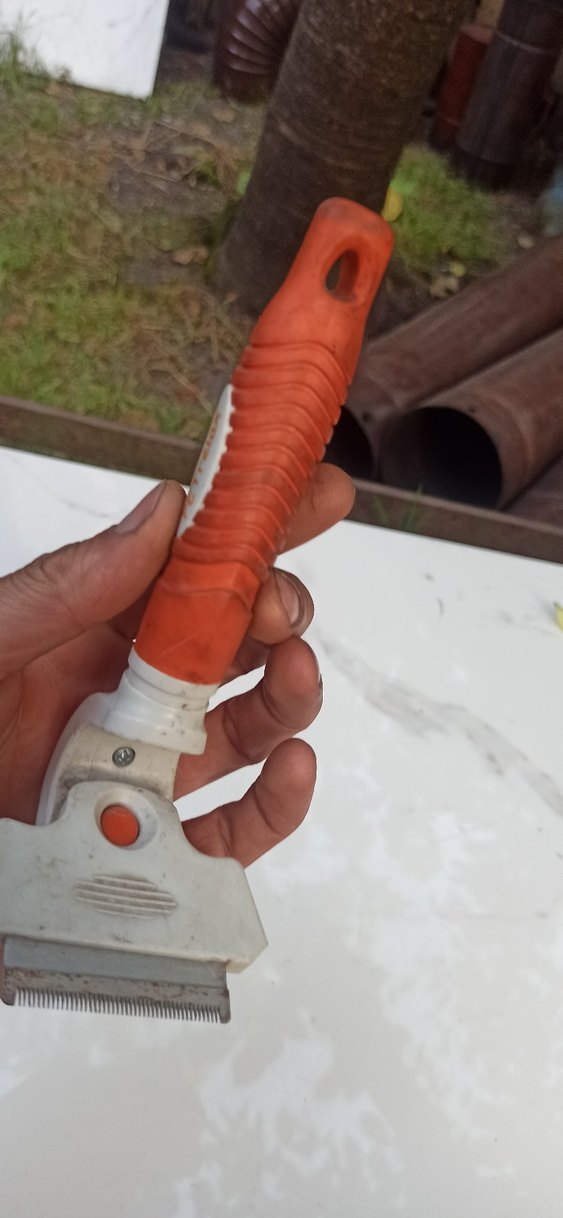 PET Relax Köpek Tarağı - Görsel 4