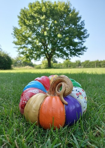 Dev Gökkuşağı  Balkabağı - Görsel 2