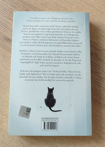 Gezgin Kedinin Günlüğü - Hiro Arikawa