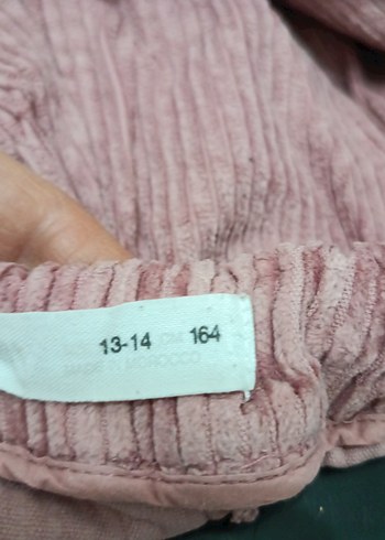 Kadın Pastel pudra fitili kadife Pantolon - Görsel 5