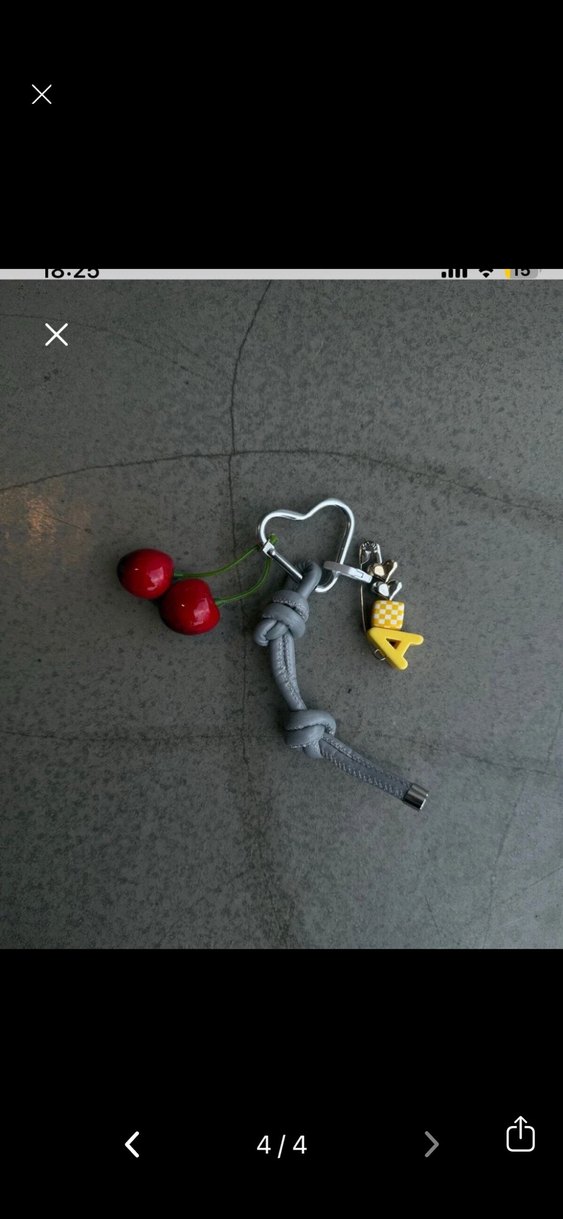 Gri Tokalı çanta charmı - Görsel 3