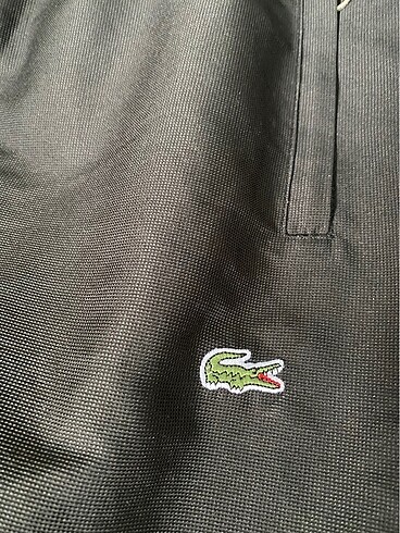 l Beden Lacoste eşofman