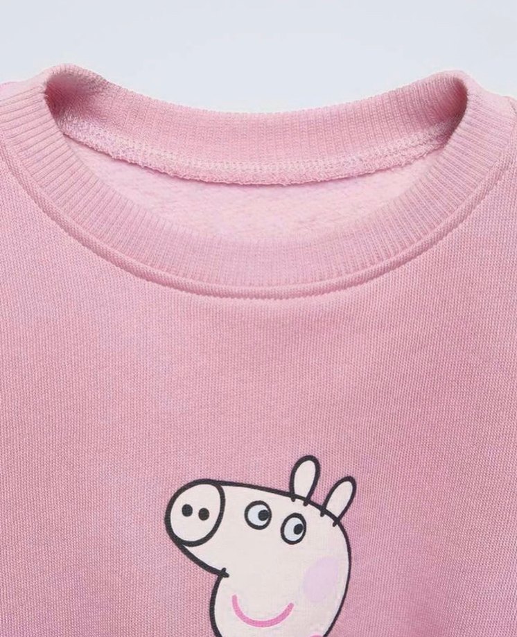 Zara Kız Çocuk Pamuklu Sweatshirt - Görsel 3