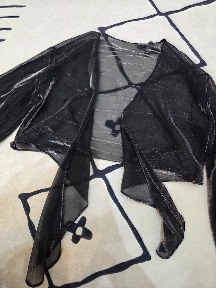 Transparan simli crop tül bluz üst - Görsel 4