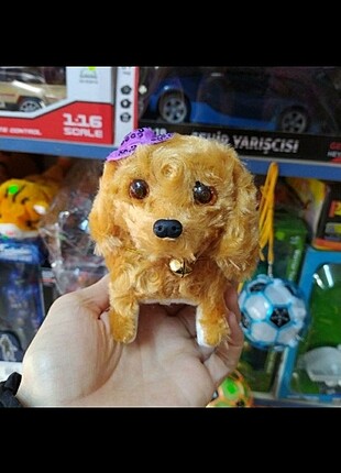 Köpek 