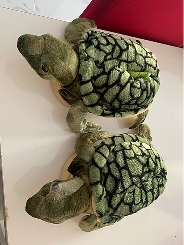 Kaplumbağa panduf ev ayakkabısı
