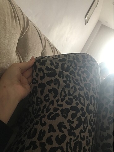 Tayt leopar