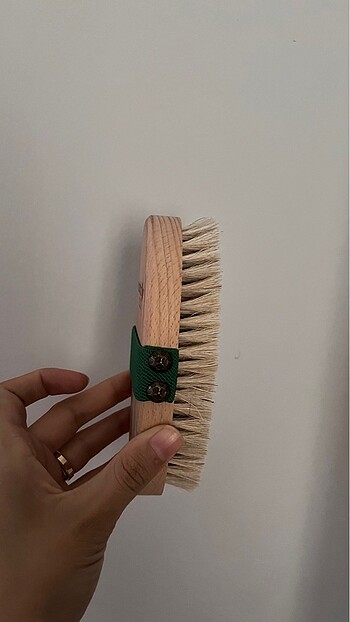 Diğer NASCİTA at kılı fırçası yeşil