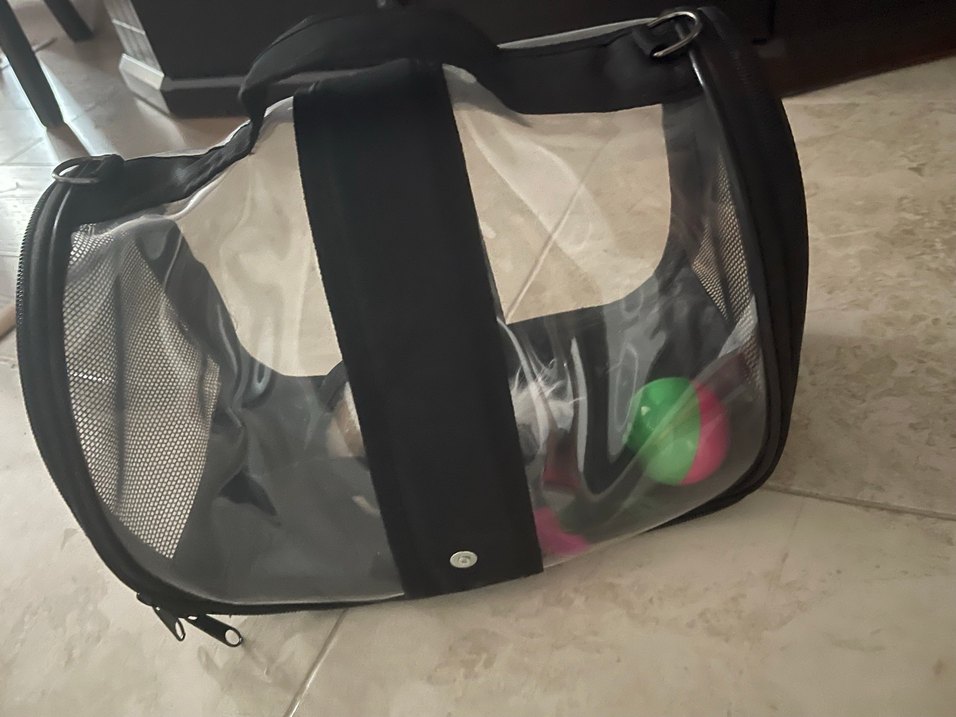 Siyah Şeffaf Kuş Taşıma Çantası - Görsel 2