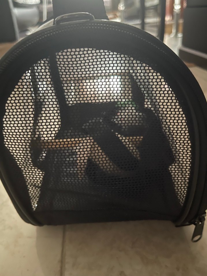 Siyah Şeffaf Kuş Taşıma Çantası - Görsel 5