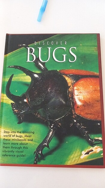 Discover Bugs