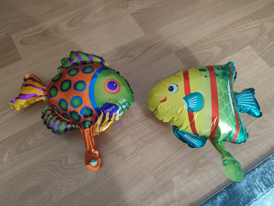 balık balon küçük boy deniz okyanus - Görsel 2