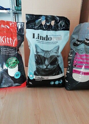 Kedi kumu
