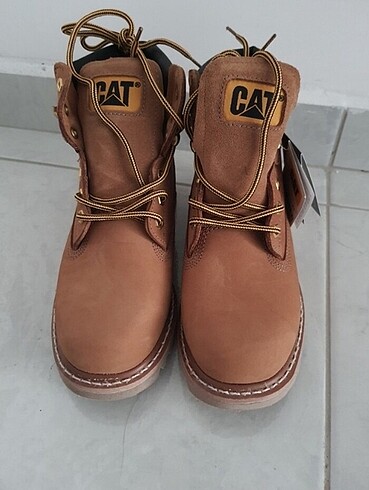 Cat bot özel ilan
