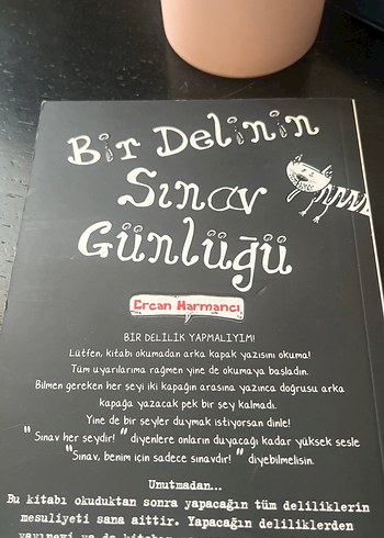 Bir Delinin Sınav Günlüğü - Ercan Harmancı - Görsel 2