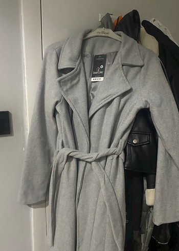 Gri uzun kaban - Görsel 3