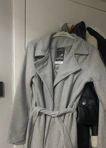 Gri uzun kaban - Görsel 2