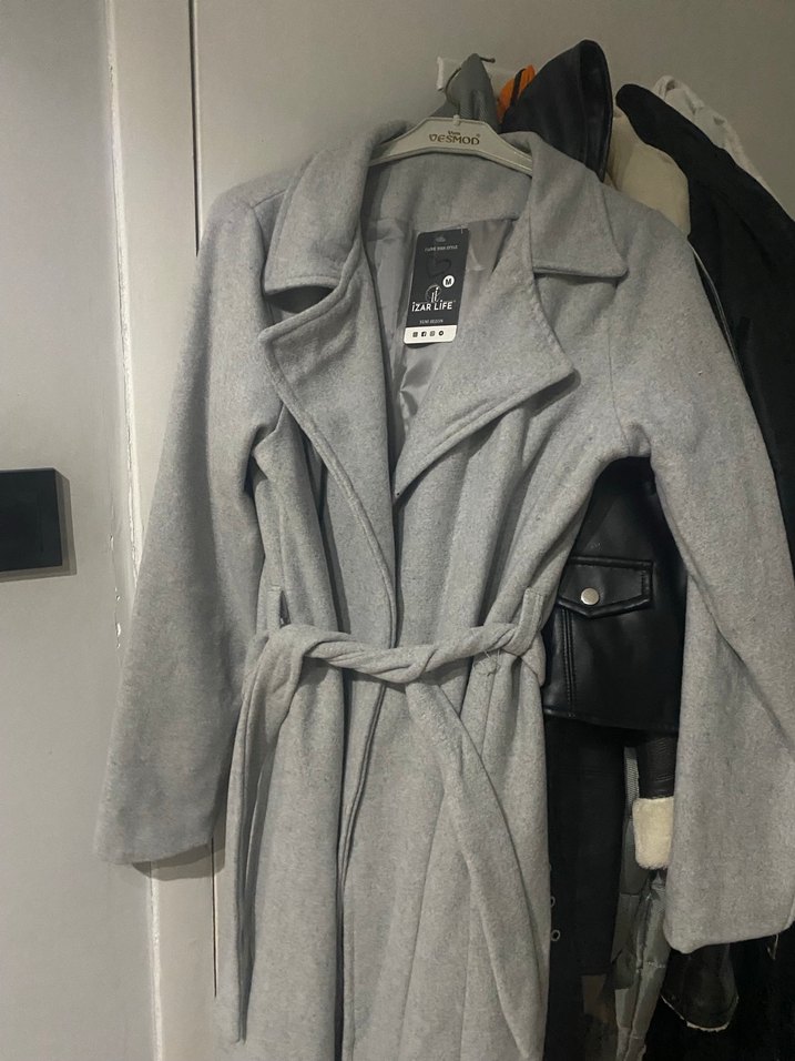 Gri uzun kaban - Görsel 3