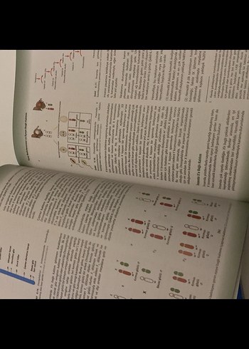 Genetik: Temel İlkeler ve Kavramlar - Görsel 2