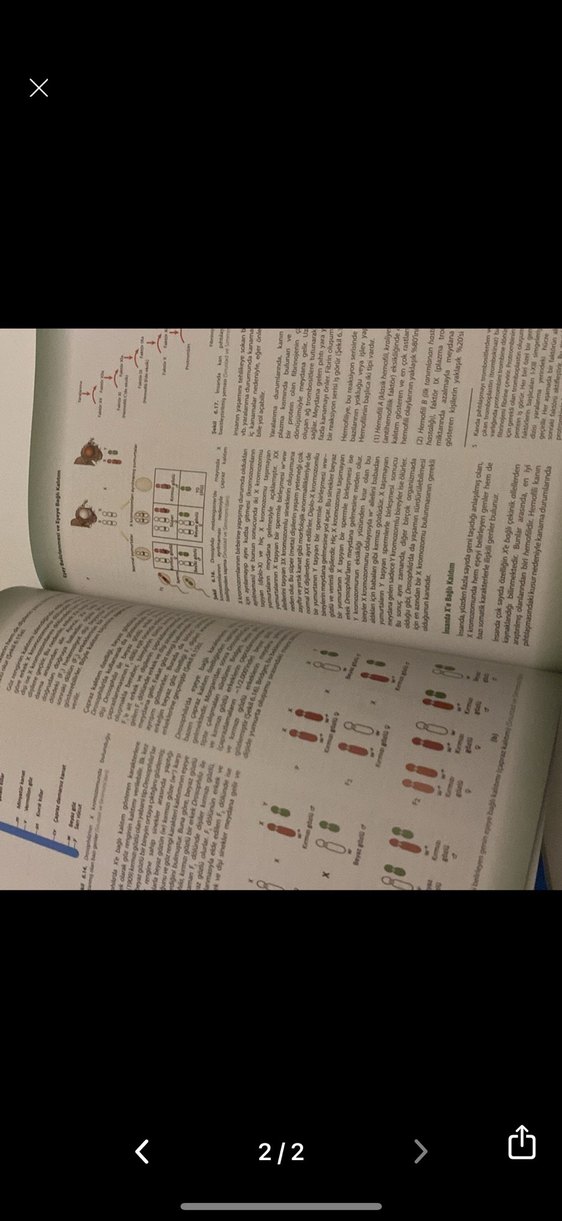 Genetik: Temel İlkeler ve Kavramlar - Görsel 2
