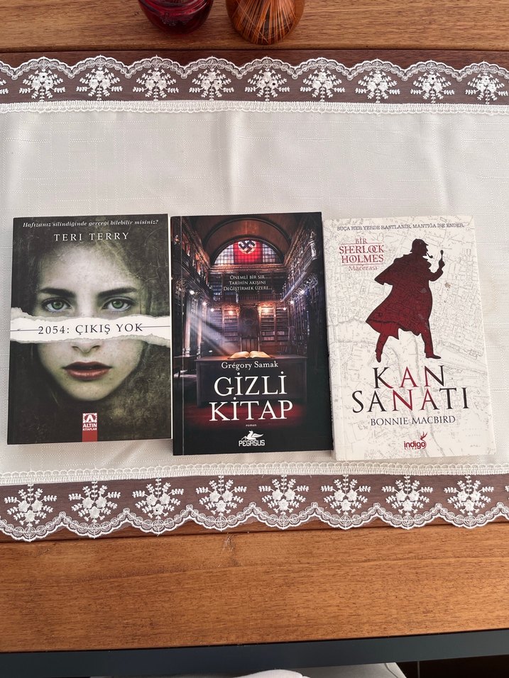2054: Çıkış Yok, Gizli Kitap, Kan Sanatı Romanları - Görsel 2