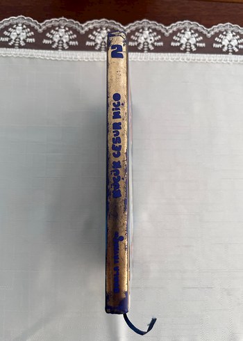 Küçük Cesur Miço ile Amerika'dan Okyanusuya - Görsel 3