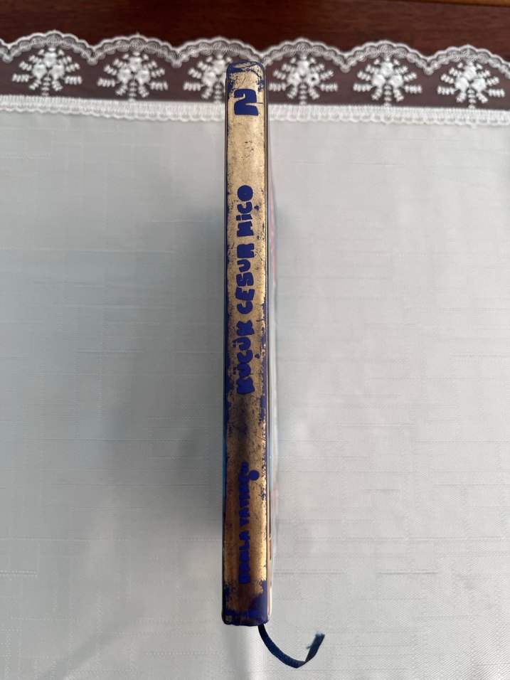 Küçük Cesur Miço ile Amerika'dan Okyanusuya - Görsel 3