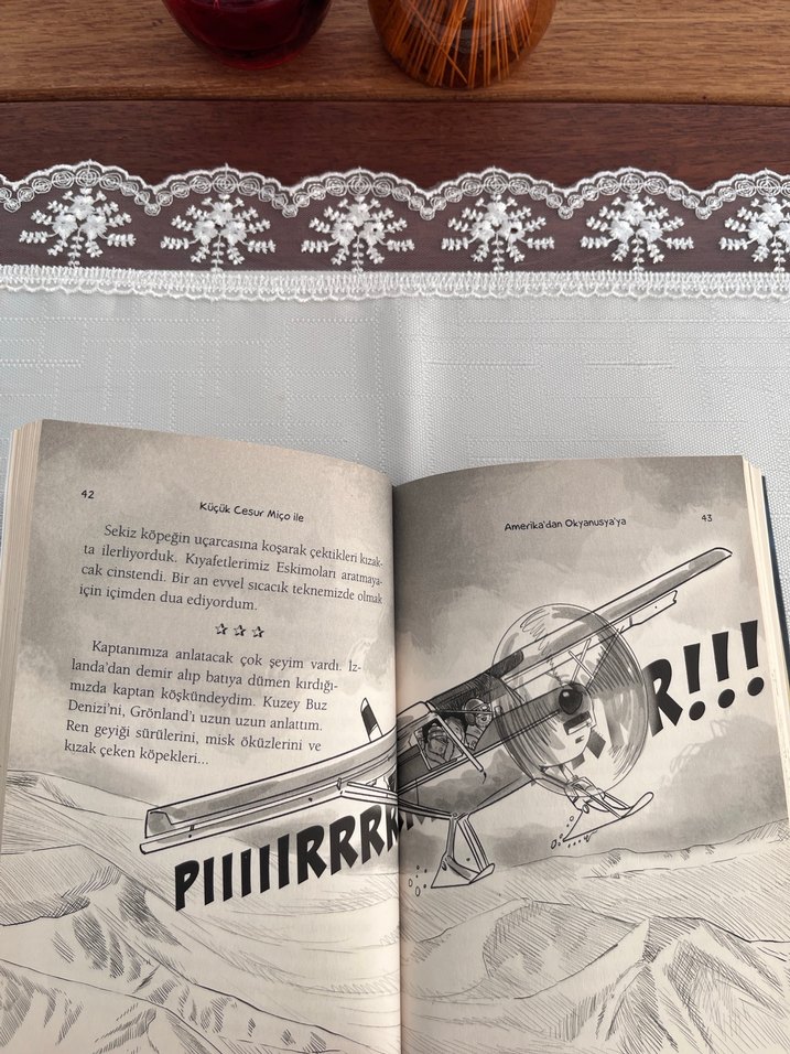 Küçük Cesur Miço ile Amerika'dan Okyanusuya - Görsel 5