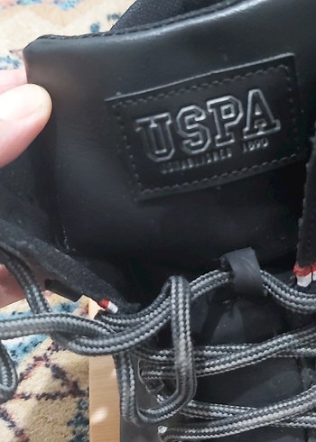 Siyah Erkek Bot bagcikli - Görsel 2