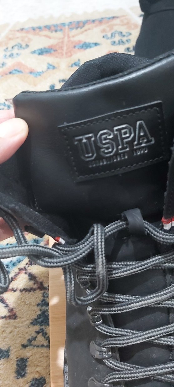 Siyah Erkek Bot bagcikli - Görsel 2