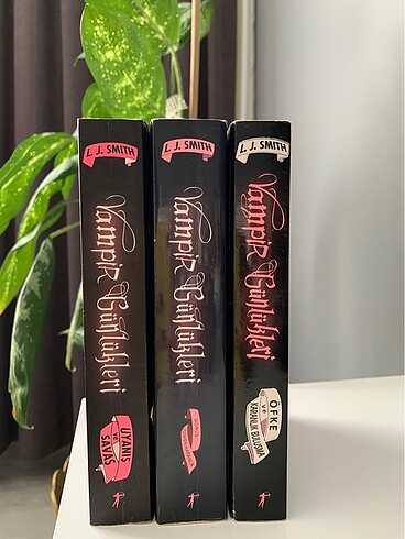 Vampir Günlükleri Kitap Serisi
