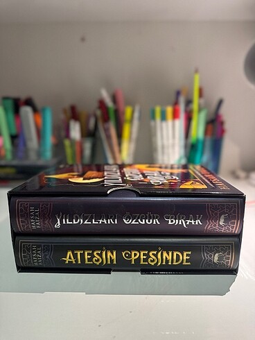 ATEŞİN PEŞİNDE SERİSİ CİLTLİ KUTULU SET